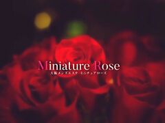 Miniature Rose(ミニチュアローズ)