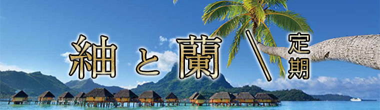 藤沢・平塚・小田原メンズエステ 紬と蘭(つむぎとらん)