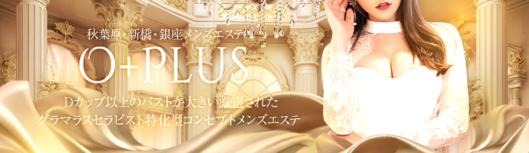 神田・秋葉原メンズエステ 秋葉原メンズエステ ALL+PLUS～オールプラス～