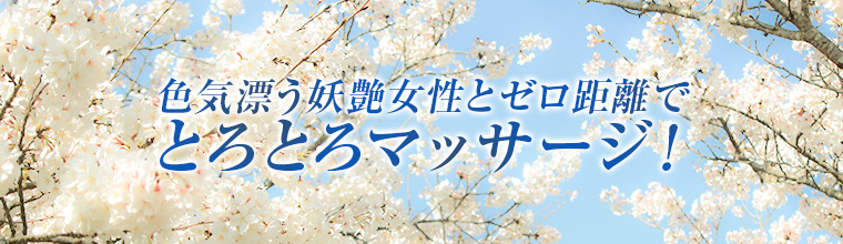 渋谷・原宿・三軒茶屋メンズエステ マドンナ人妻コレクション
