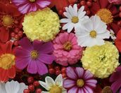 博多メンズエステ Lupin -ルパン 九条 -くじょう-