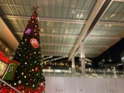 安城メンズエステ Ange Spa～アンジュスパ あいな