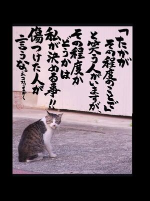 観てきた??