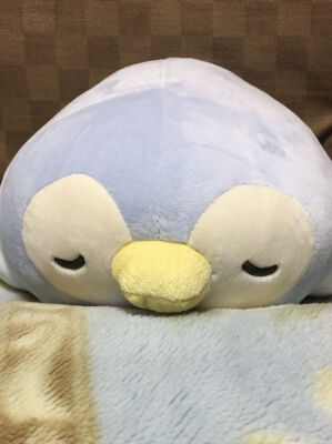 新人さん入店決定！！！