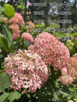 祇園the.Mrs心春