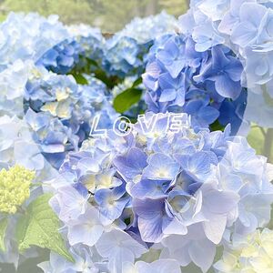 １年前と比べても