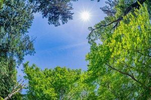 今年はじめての