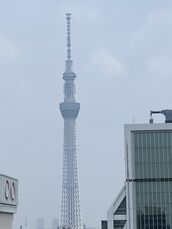 錦糸町・葛西・篠崎メンズエステ ワイフコレクション 渋井さきな