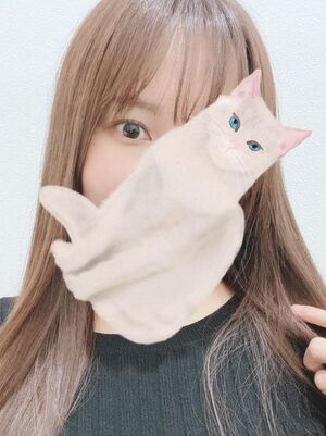20時から