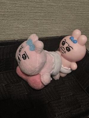 今日も…