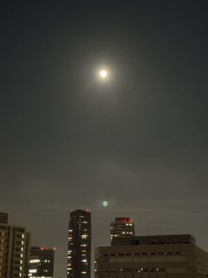おはようございます☀ 昨日？今朝？はありがとうございました💫✨