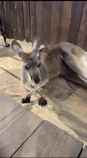 昨日もありがとう♡