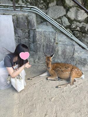 暑すぎる?????