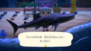 あつもり