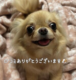 ♡♡お礼写メ日記♡♡