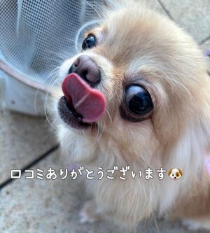 ♡♡お礼写メ日記♡♡
