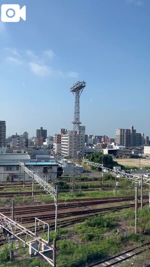 きびだんごで懐きます