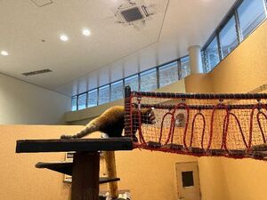 ありがとうございました🍎