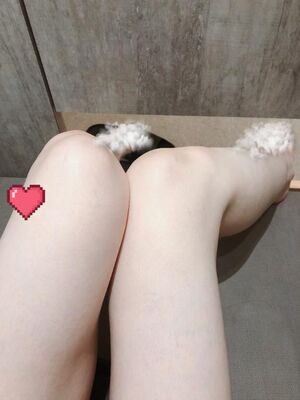 お休みの日だけどちょっとだけ?