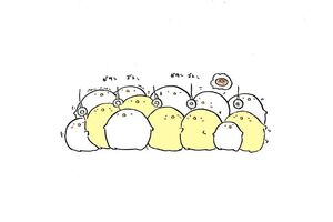 確認しましょう( ˇωˇ )