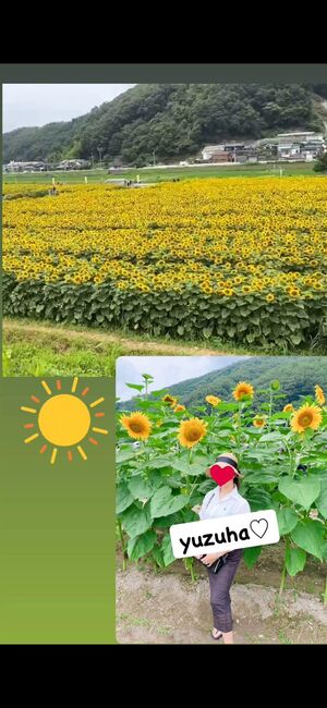 夏✩ゆずは