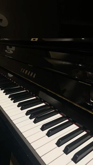 子供の頃してた習い事🎶
