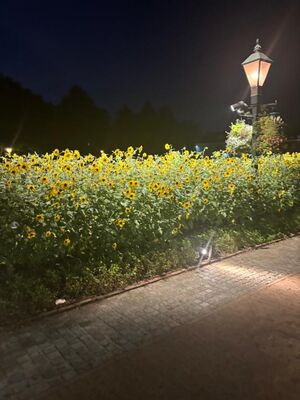 次回