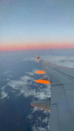 旅行に行くなら？✈️