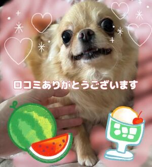 ♡♡お礼写メ日記♡♡