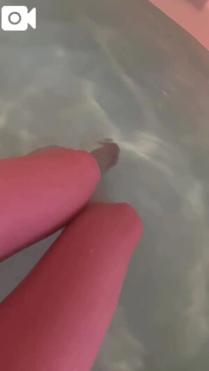 🌹今日は🌹