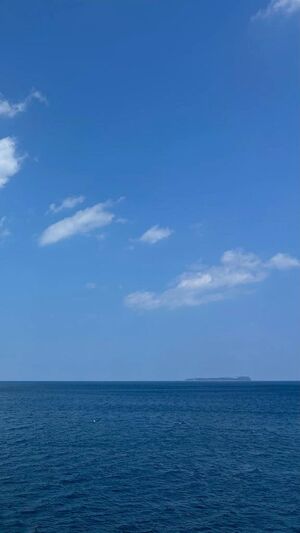 夏の終わりに、癒されに来ませんか🌻