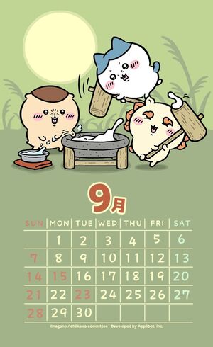 9月 ·͜· ꕤ︎︎