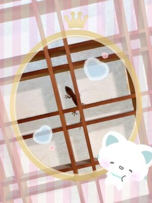 またでた！