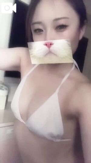 🐑