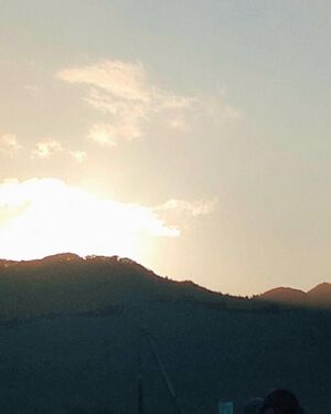 夕日?