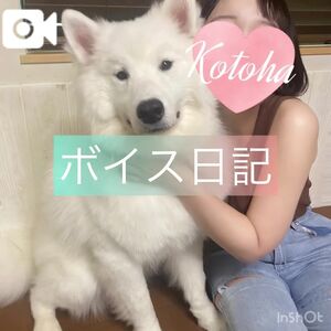 【朝のことラジ🗣️💓】えへへ、ゲリラ出勤だーい！！