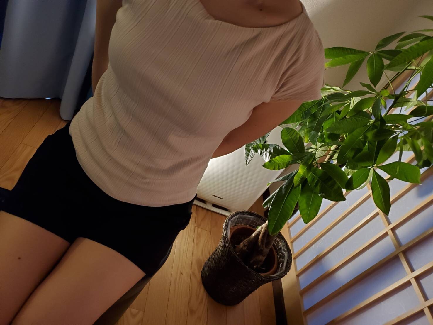 かえでセラピスト