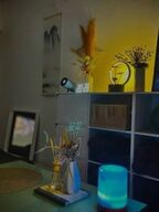 赤羽・巣鴨・駒込メンズエステ THE SPA Rich(ザ スパ リッチ) 赤羽room