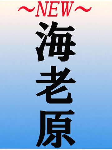 錦糸町・葛西・篠崎メンズエステ LIBUR JAM-リブルジャム- 海老原