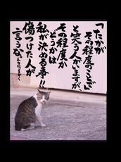 新宿・新大久保・高田馬場風俗エステ 新宿泡洗体ハイブリッドエステ 海（うみ）