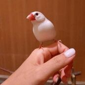 京橋・桜ノ宮・都島風俗エステ 玉乱堂 ゆみ