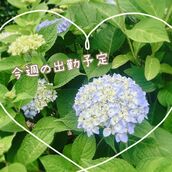 国分寺・立川・八王子風俗エステ 魅惑の官能アロマエステEureka!八王子～エウレカ!～ 月島　あきな