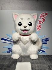 梅田風俗エステ 梅田ムチSpa女学院 【朝倉 あん】