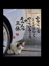 新宿・新大久保・高田馬場風俗エステ 新宿泡洗体ハイブリッドエステ 海（うみ）
