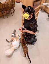 難波風俗エステ NADIA心斎橋店 坂本　めい