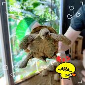 国分寺・立川・八王子風俗エステ 魅惑の官能アロマエステEureka!八王子～エウレカ!～ 月島　あきな