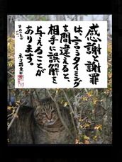 新宿・新大久保・高田馬場風俗エステ 新宿泡洗体ハイブリッドエステ 海（うみ）