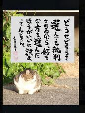 新宿・新大久保・高田馬場風俗エステ 新宿泡洗体ハイブリッドエステ 海（うみ）