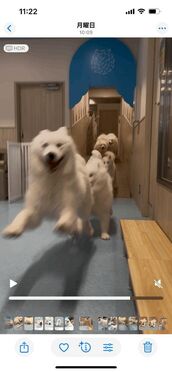 栄風俗エステ 回春エステ アロマっち すみれ