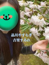 品川・五反田・蒲田風俗エステ 品川やすらぎ 吉里